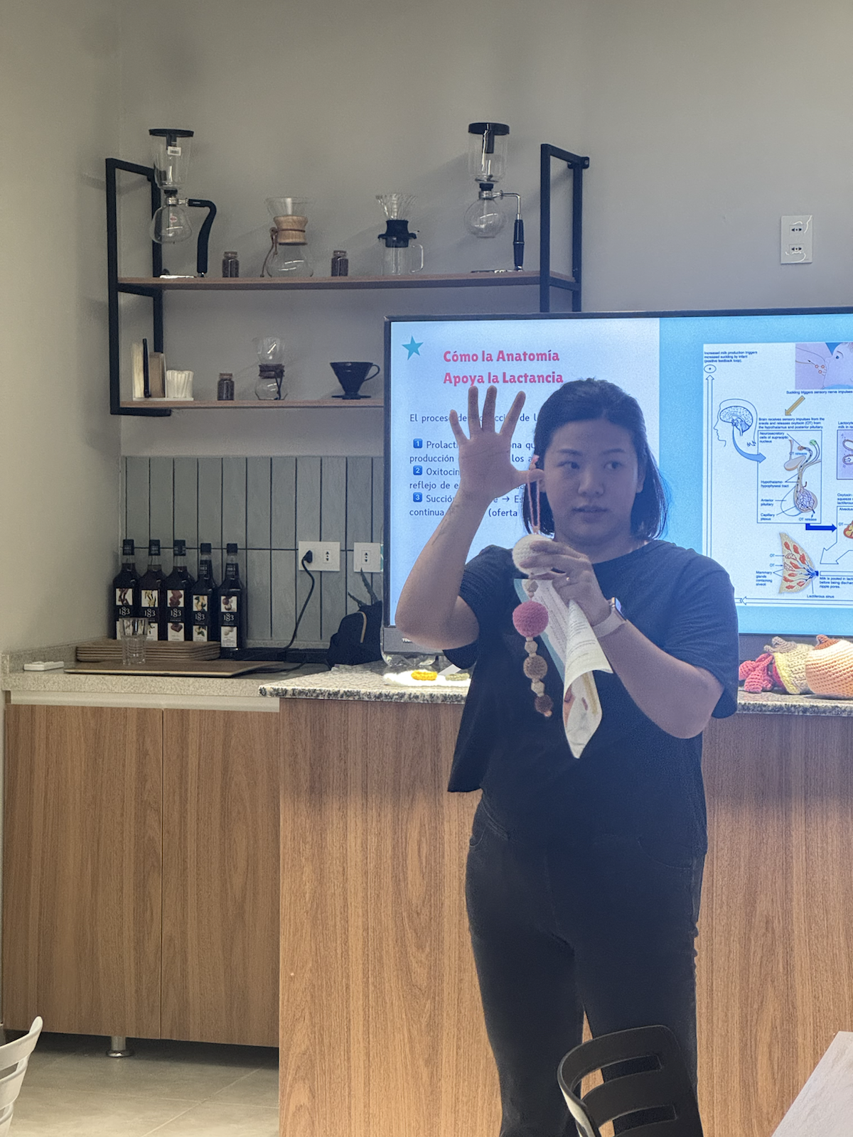 Melody teaching with a newborn stomach-size example during a workshop.